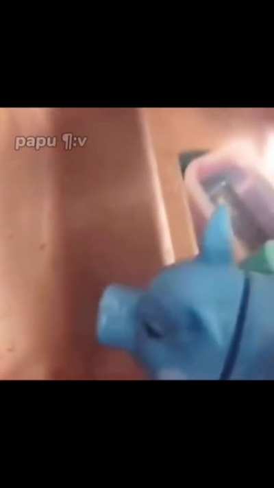 blursed pig