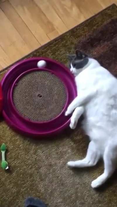 Mood