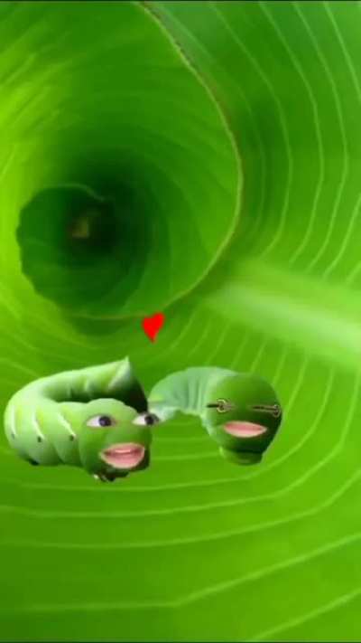 🕳