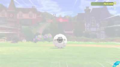 Wulu.mp4