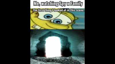 stalker