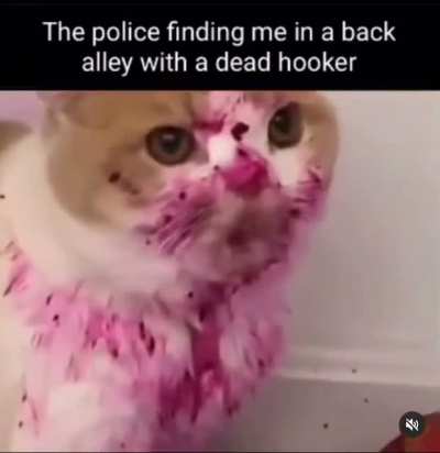It was delicious
