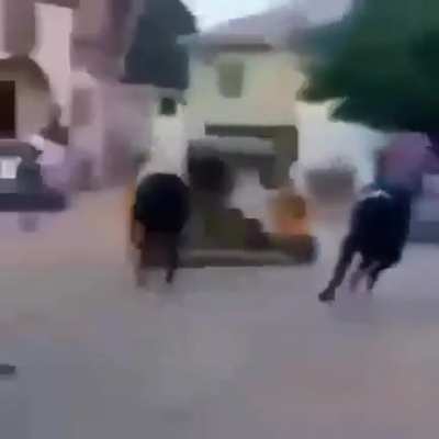 Sbr