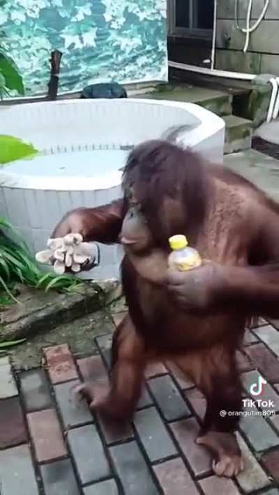 Me waking up and going to work every morning knowing I will hodl until GME moons.