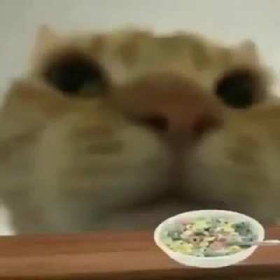 Tasty