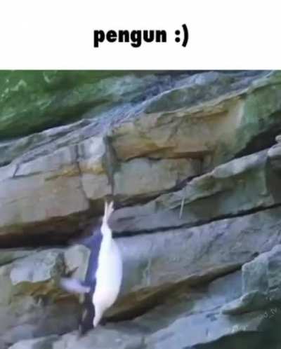 he’s ok?