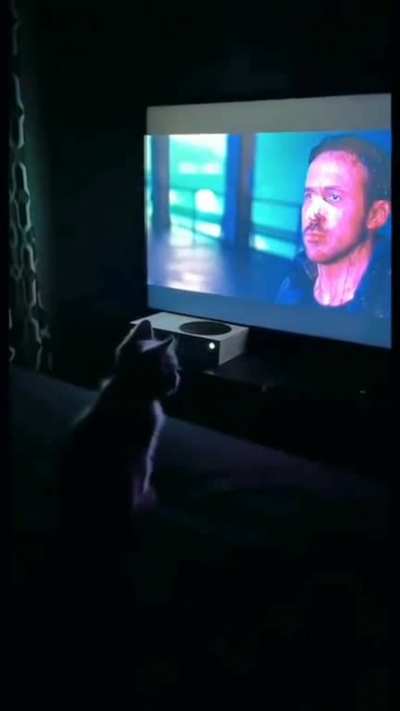 she is like us