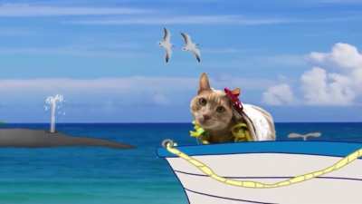 The cat rule