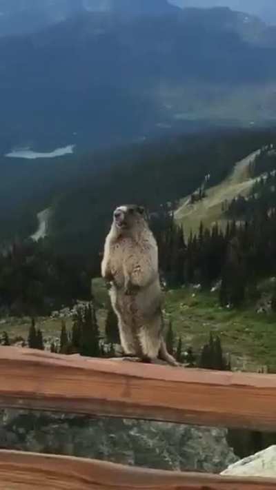 That was sudden