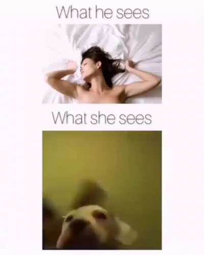 maybe maybe maybe