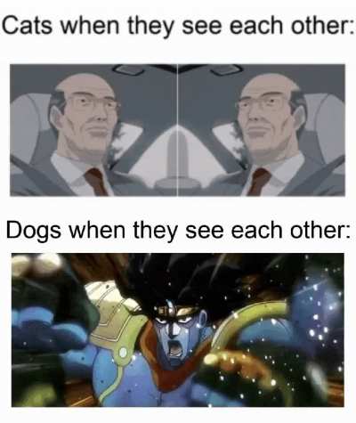 Oraoraoraoraoraora!