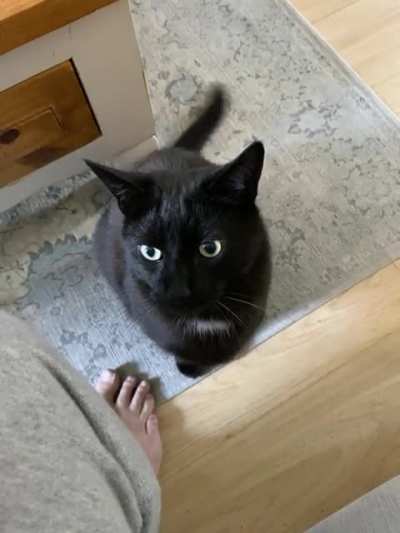 My murder boy..