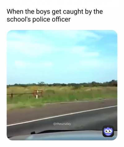 No the boi's