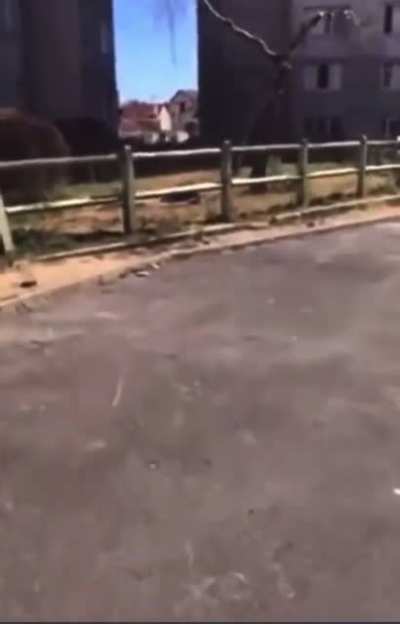 Man falls off tall building and continues to twitch on the ground