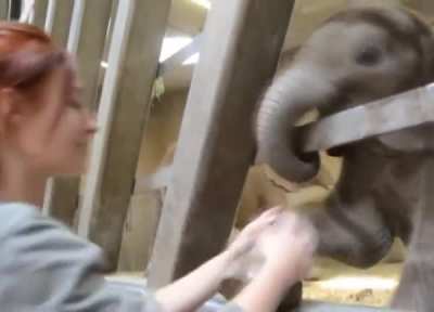 Trunk Scritches = Instant Heaven