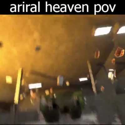 ave shrimparia