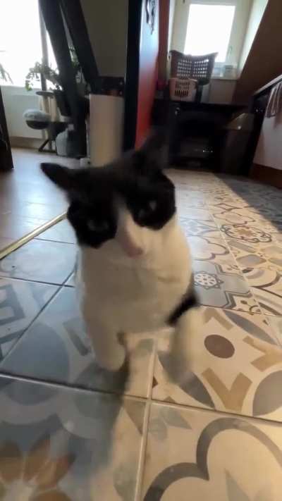 Stalker wunk