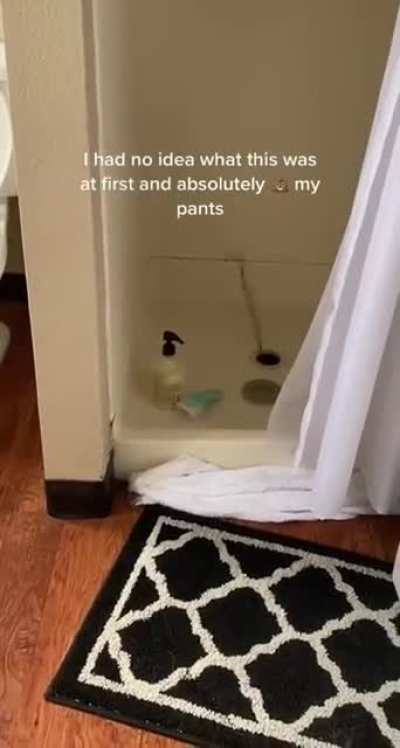 Better this than toilet