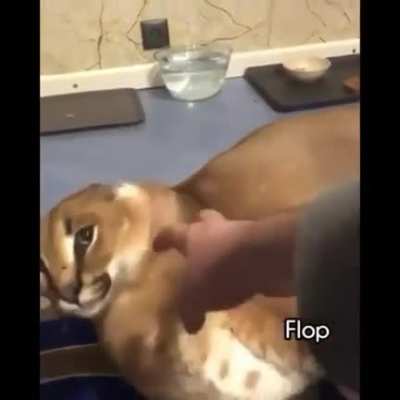 Flop rule