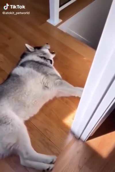 AAAAAAAAAAAA