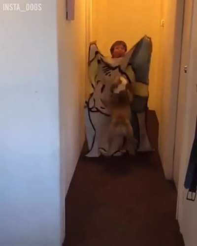 Nope not today human