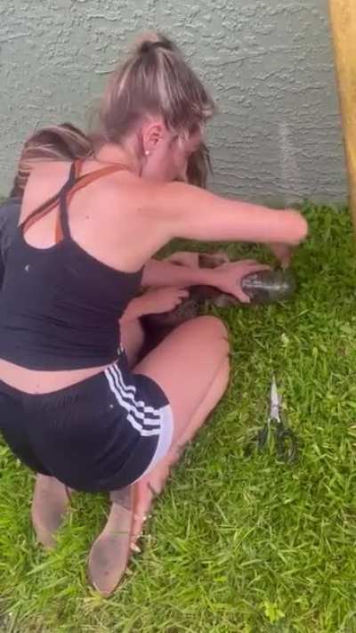 Maybe Maybe Maybe