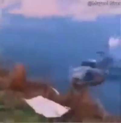 🐊