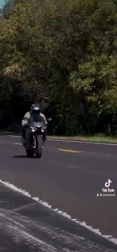 Little yamaha action