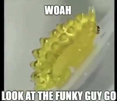 funky little rule