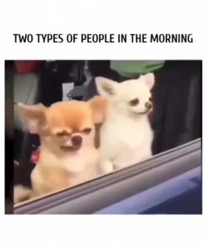 Me_irl