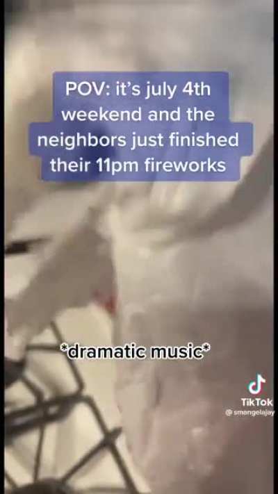 The best revenge after late night fireworks
