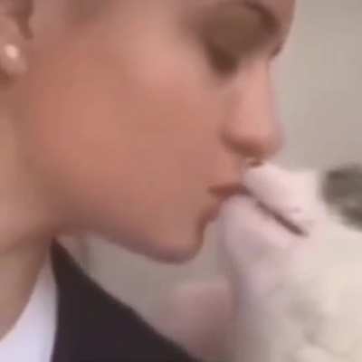 Котик пикапер