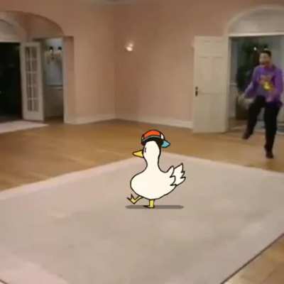 Duck :)