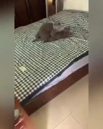 Стучаться надо!