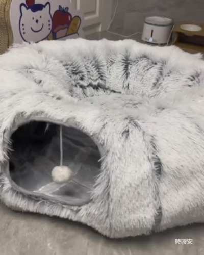 purrsonal hadron collider