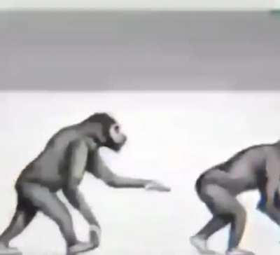 Og vid monke