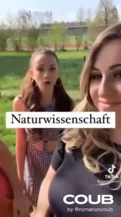 The German language
