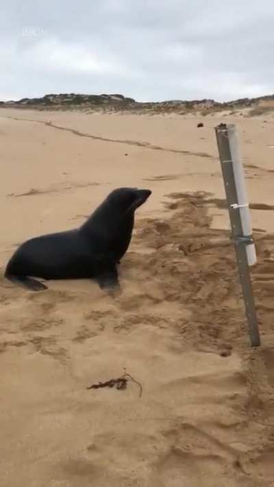 Give me back my fish!