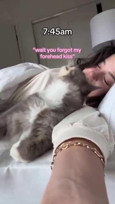 Kitty will never let you get out of bed