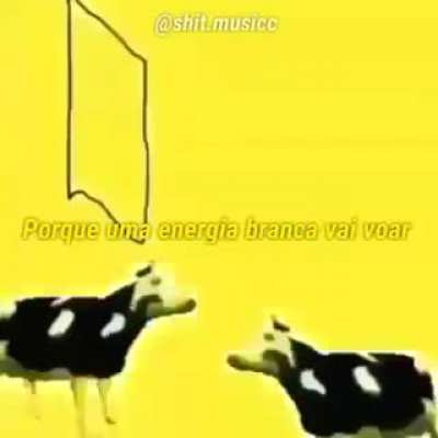 5g