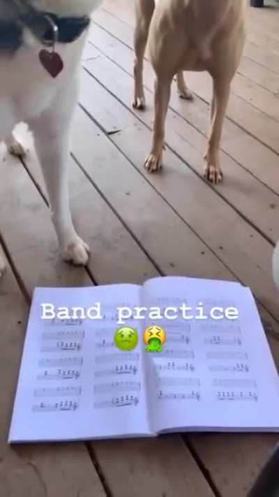 The guys are starting a band but cant seem to hit a C Note