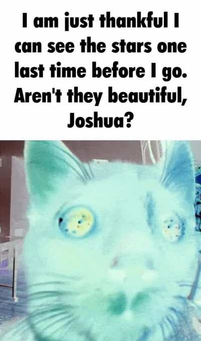 you can still hear me, right, joshua?