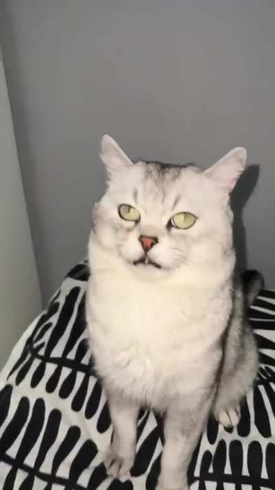 gfhdskaghjfegvfe