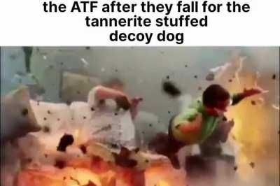 Got'em