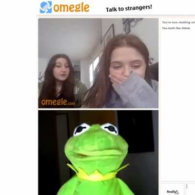How’s miss piggy?