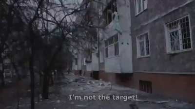 I am not a military facility❤️‍🩹 I am human❤️ I am Ukraine 🇺🇦