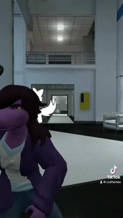 Furry_irl