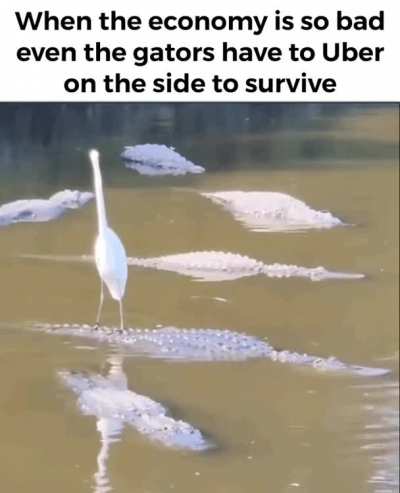 Times are tough