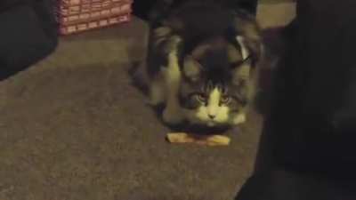 At least someone likes the crust…