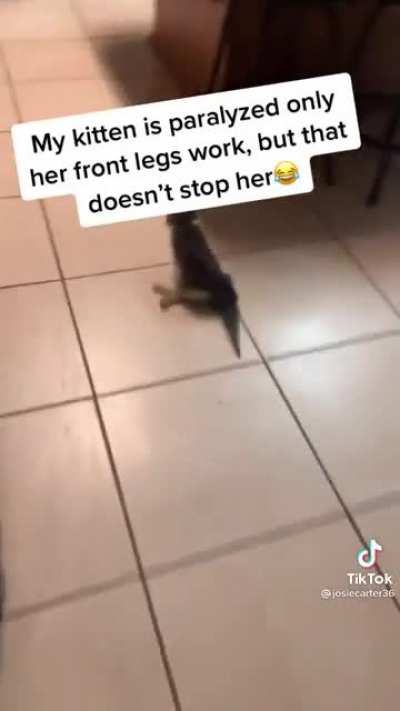 👌